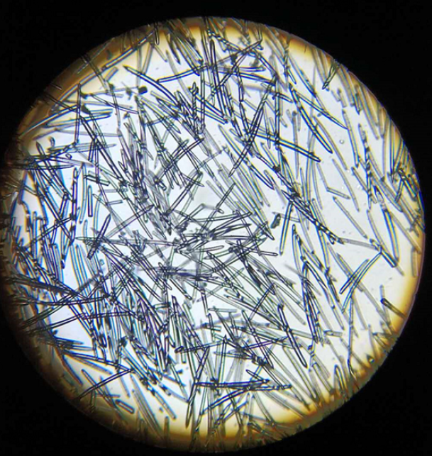 What Are Spicules, and Is It Actually Safe to Put Them on Your Skin?